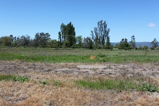 1010 Napa Rd (AR)